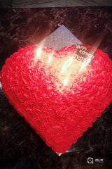 Jyothi Birthday Photos